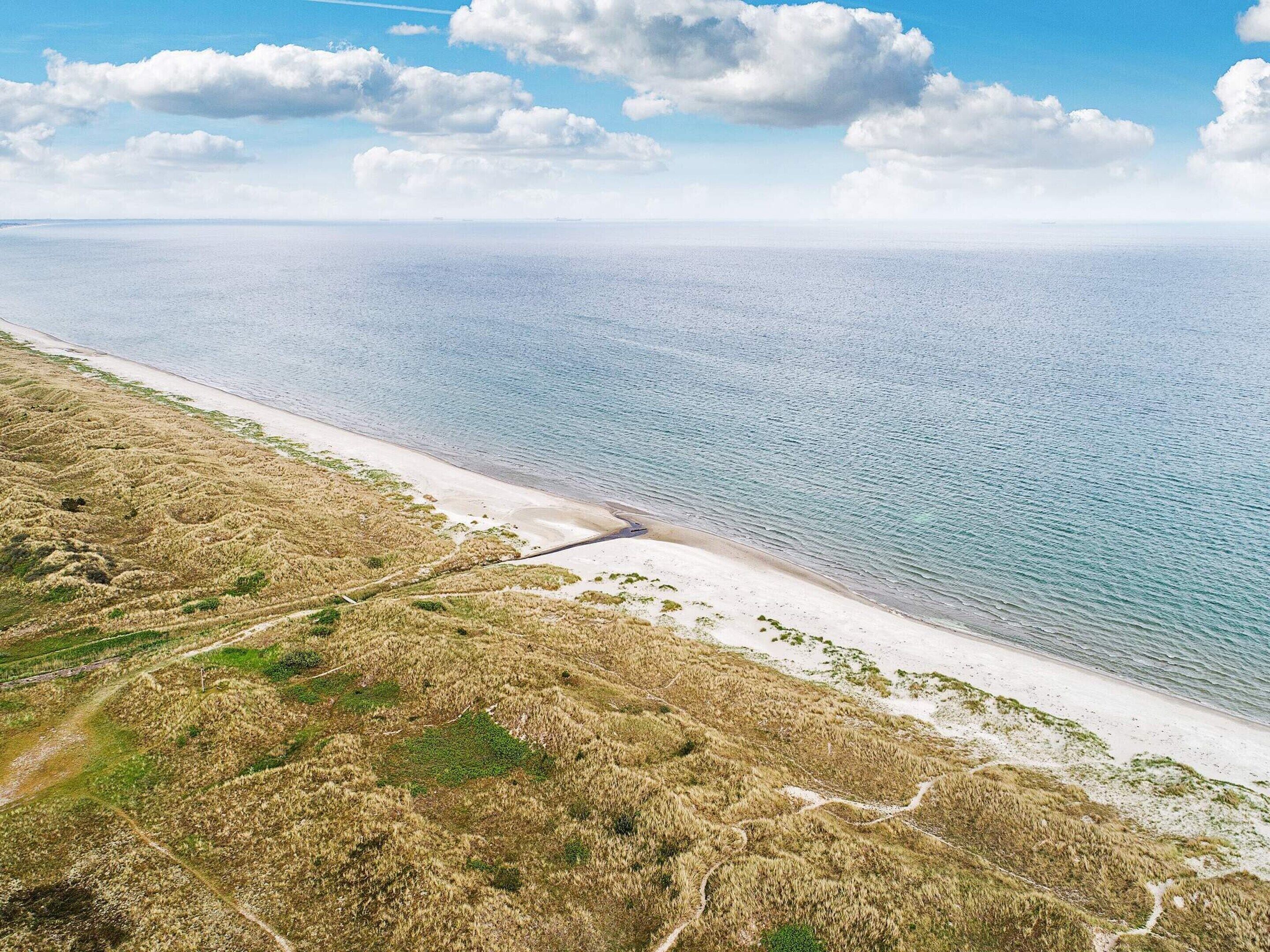 An aerial view of a beach with a clear path leading to the shore, surrounded by grassy terrain.