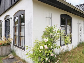 บริเวณภายนอก