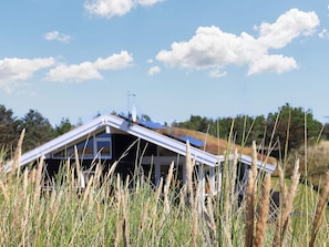 A modern house with a sloped roof, surrounded by tall grass and trees. - 14 Person Holiday Home in Blokhus (Blokhus)