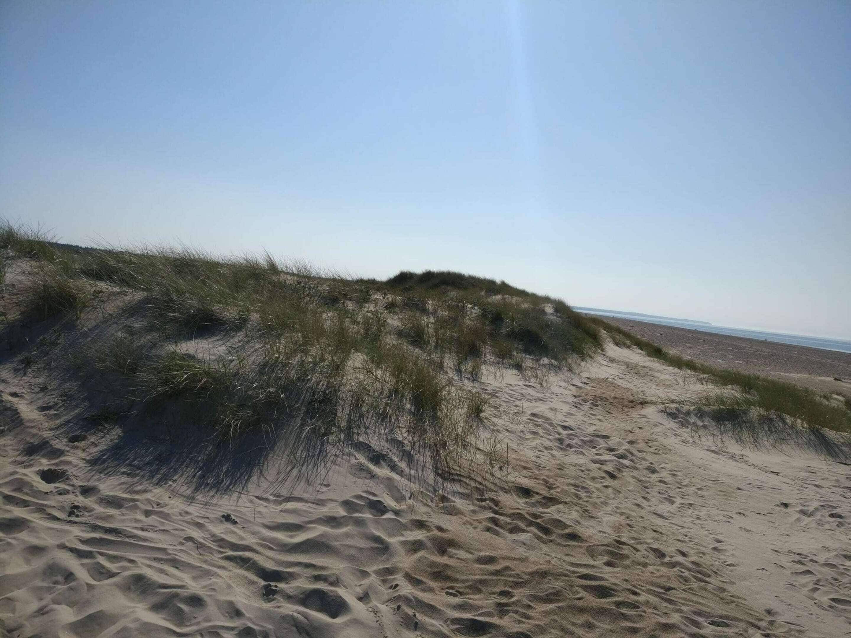 Lejlighed | Strand