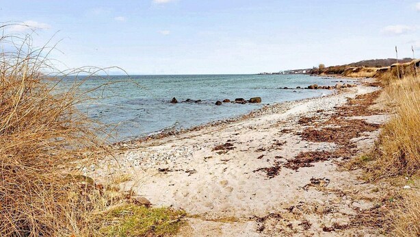 Um caminho costeiro com pedras e algas, que leva a um mar calmo.