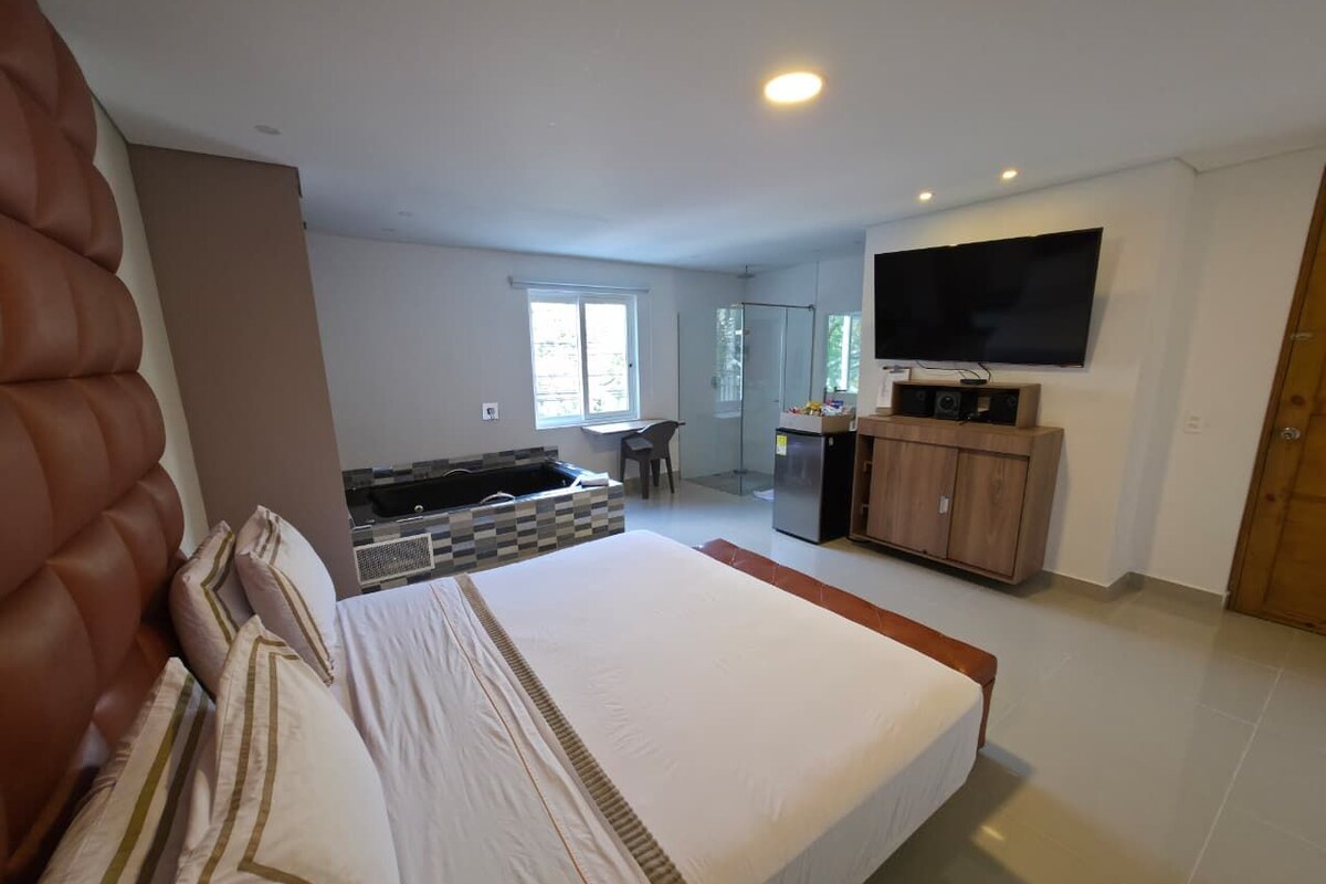 A bedroom with a large bed, a TV, a small kitchenette, and a glass shower area.