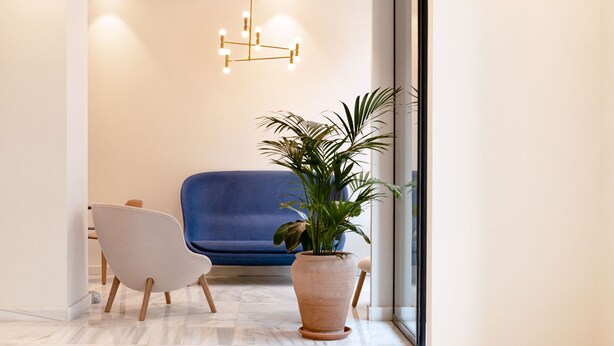Un interior moderno con un sofá azul, una silla blanca y una planta grande en maceta.