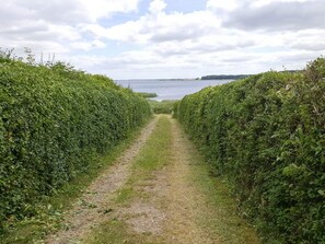 A narrow dirt path flanked by dense green hedges leading to a body of water.