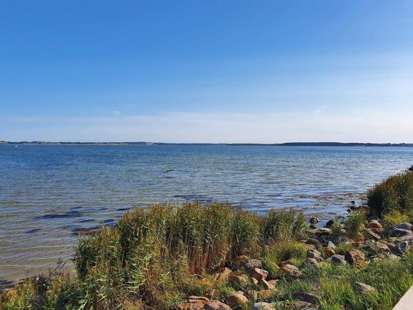 House | Water view
