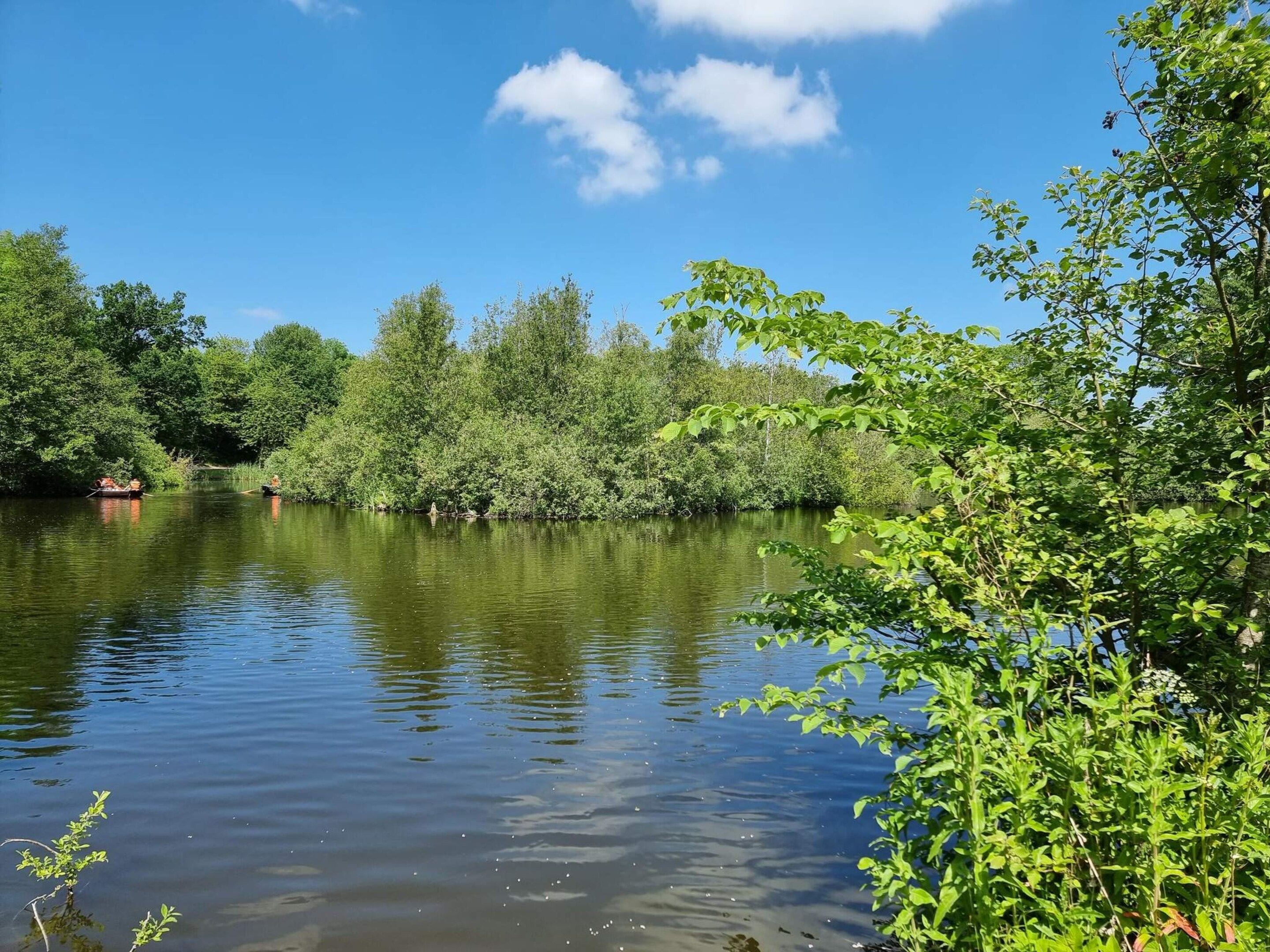 A calm river with dense greenery on both sides.