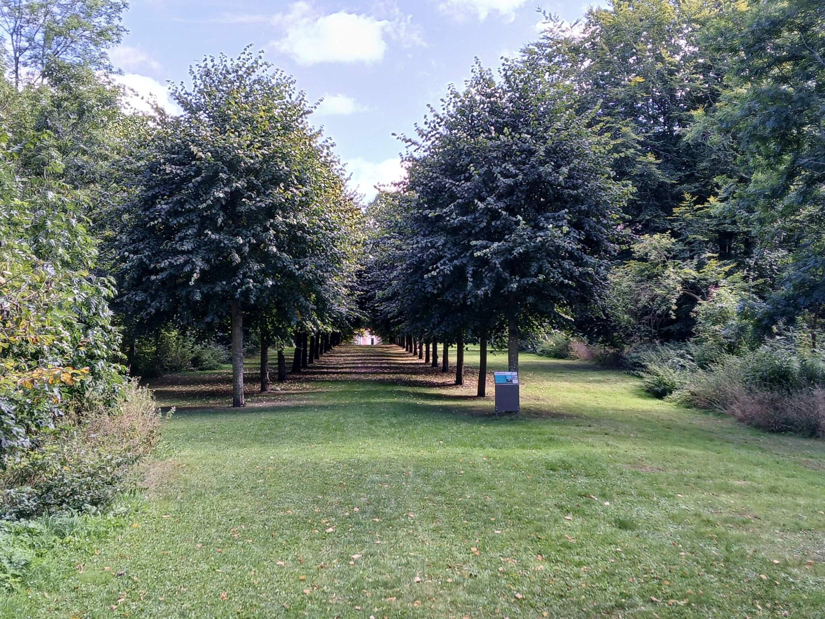 Ein von Bäumen gesäumter Weg, der zu einem Gazebo führt.