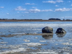 Un lac gelé, avec deux gros rochers au premier plan et une zone boisée en arrière-plan.