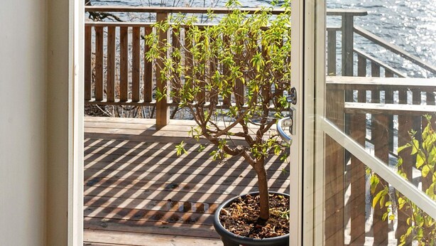 A wooden deck with a potted tree, a railing, and a view of the water. - 4 Person Holiday Home in Farentuna (Faerentuna)