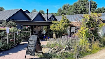 House | Property grounds