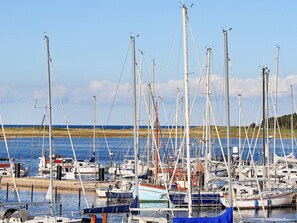 A marina with multiple sailboats docked, a wooden dock, and a grassy shoreline in the background. - 5 Star Holiday Home in Wendtorf (Wendtorf)