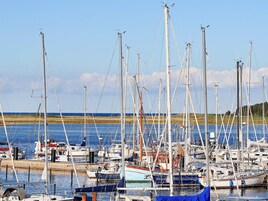 Un puerto deportivo con varios veleros amarrados, un muelle de madera y una orilla cubierta de césped al fondo.