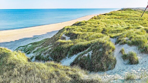 Een strand met duinen en een helder uitzicht op de oceaan.