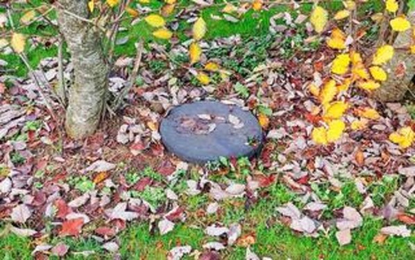 A stone slab surrounded by autumn leaves. - 8 Person Holiday Home in Juelsminde (Horsens)