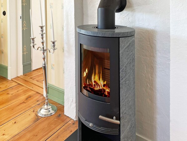 A wood-burning stove with a glass door, a metal handle, and a chimney.