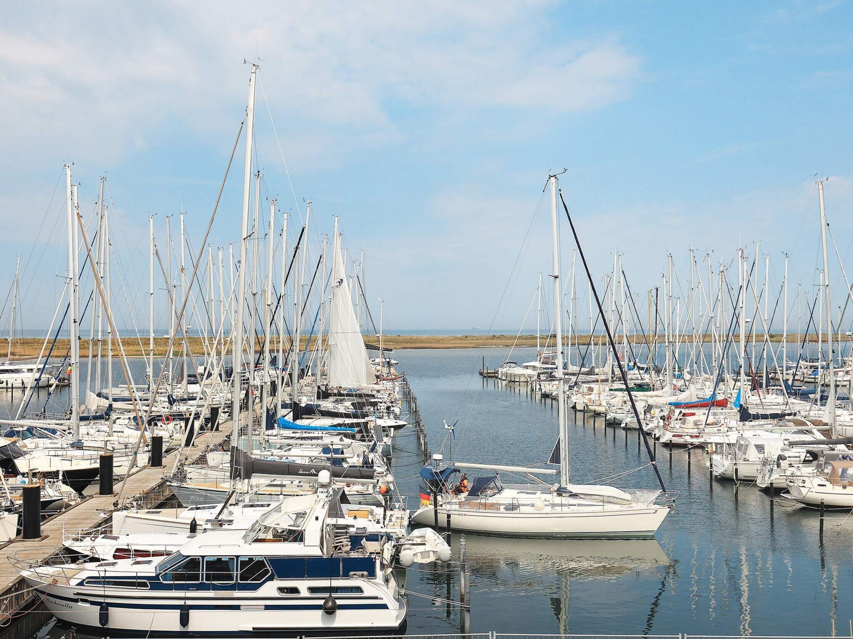 A marina with multiple sailboats docked in calm waters.