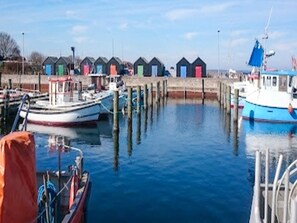 House | Water view