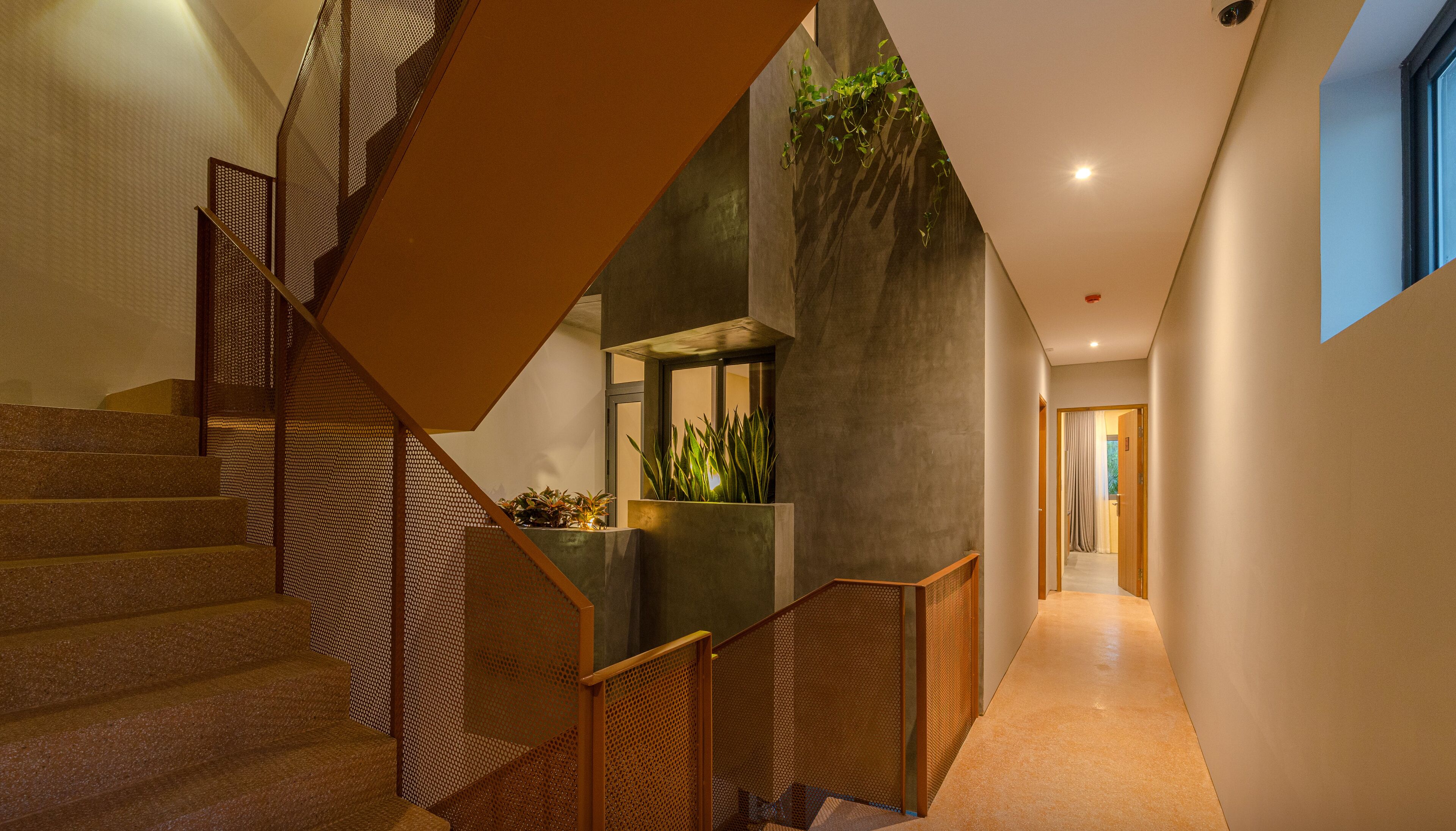 A modern interior with a staircase, a plant, and a hallway.