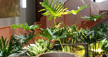 Shelter Stay Da Nang