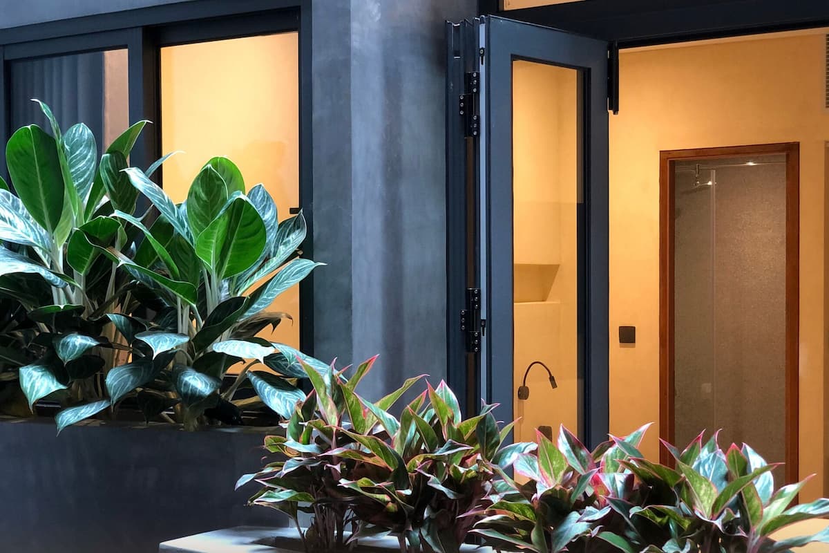 A modern hotel room with a large potted plant in the foreground, a sliding door to the right, and a plain wall with a door at the end.