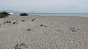 Una playa con una carpa blanca y vegetación escasa.