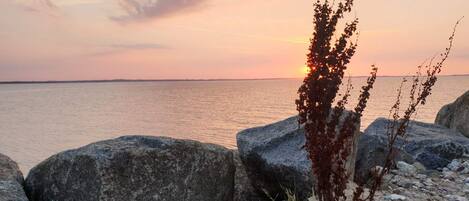 ウォーター ビュー