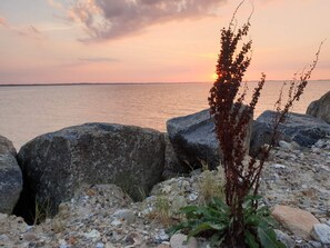 A rocky shoreline with large boulders and a plant in the foreground.