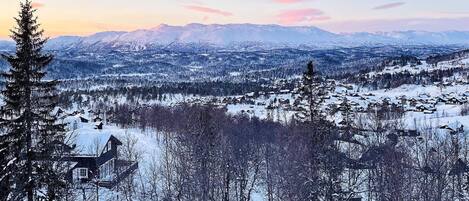 Lumipeitteinen maisema, jossa on mökki ja metsä.