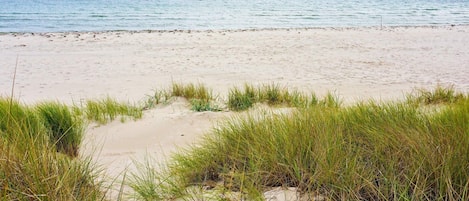 House | Beach