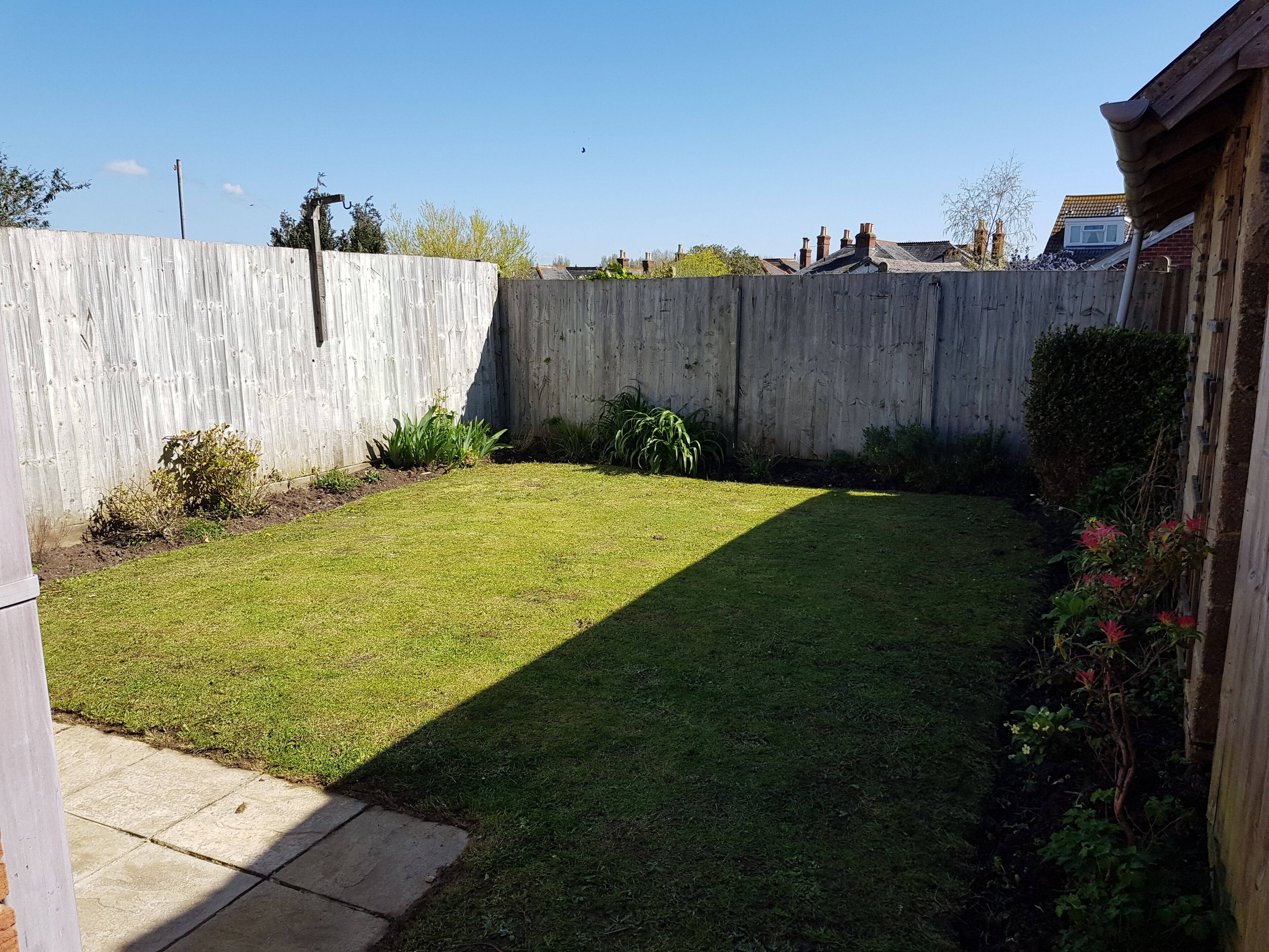 Back garden