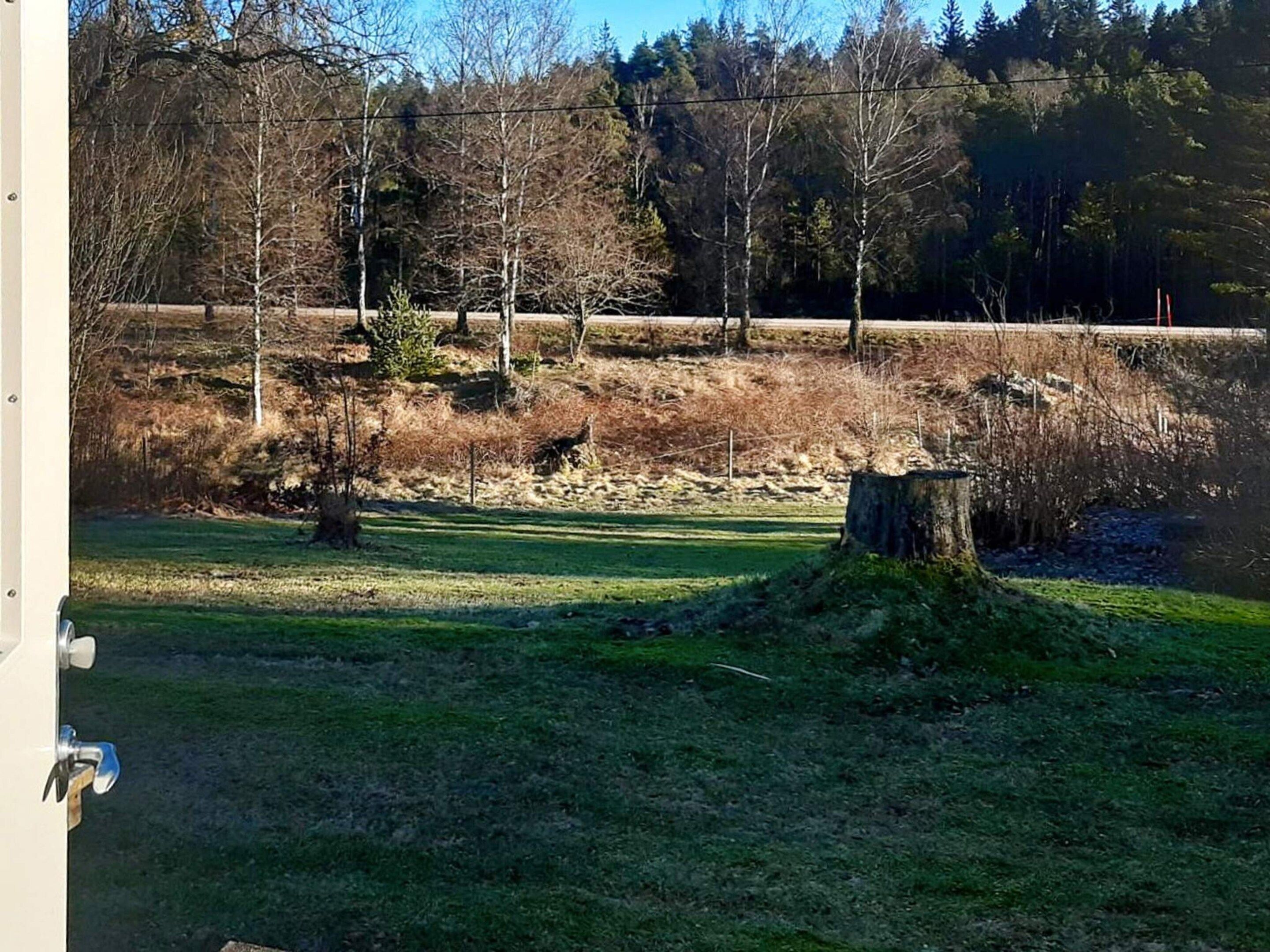A grassy area with a tree stump and a stone wall.