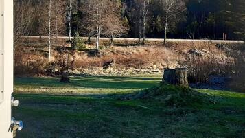 A grassy area with a tree stump and a stone wall.
