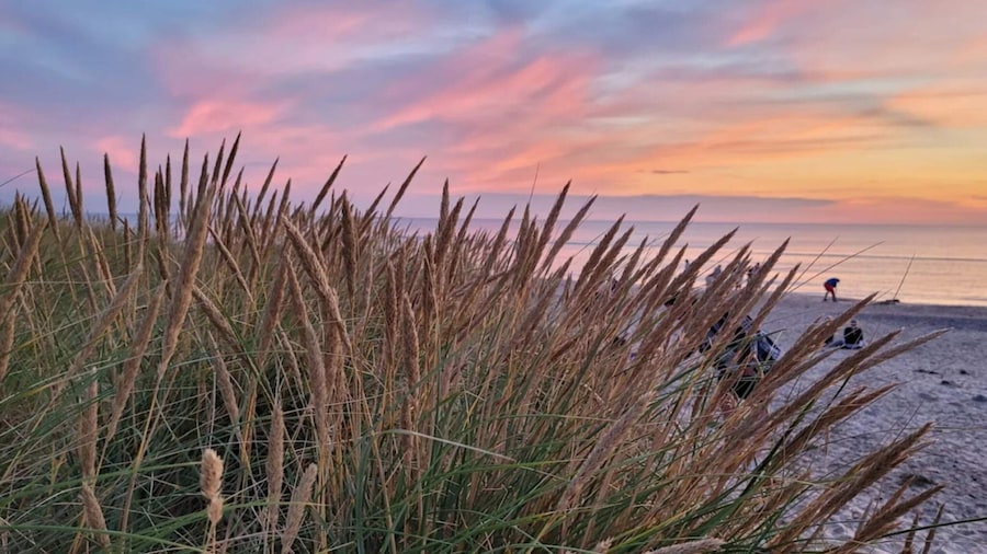 4 Star Holiday Home in Skagen