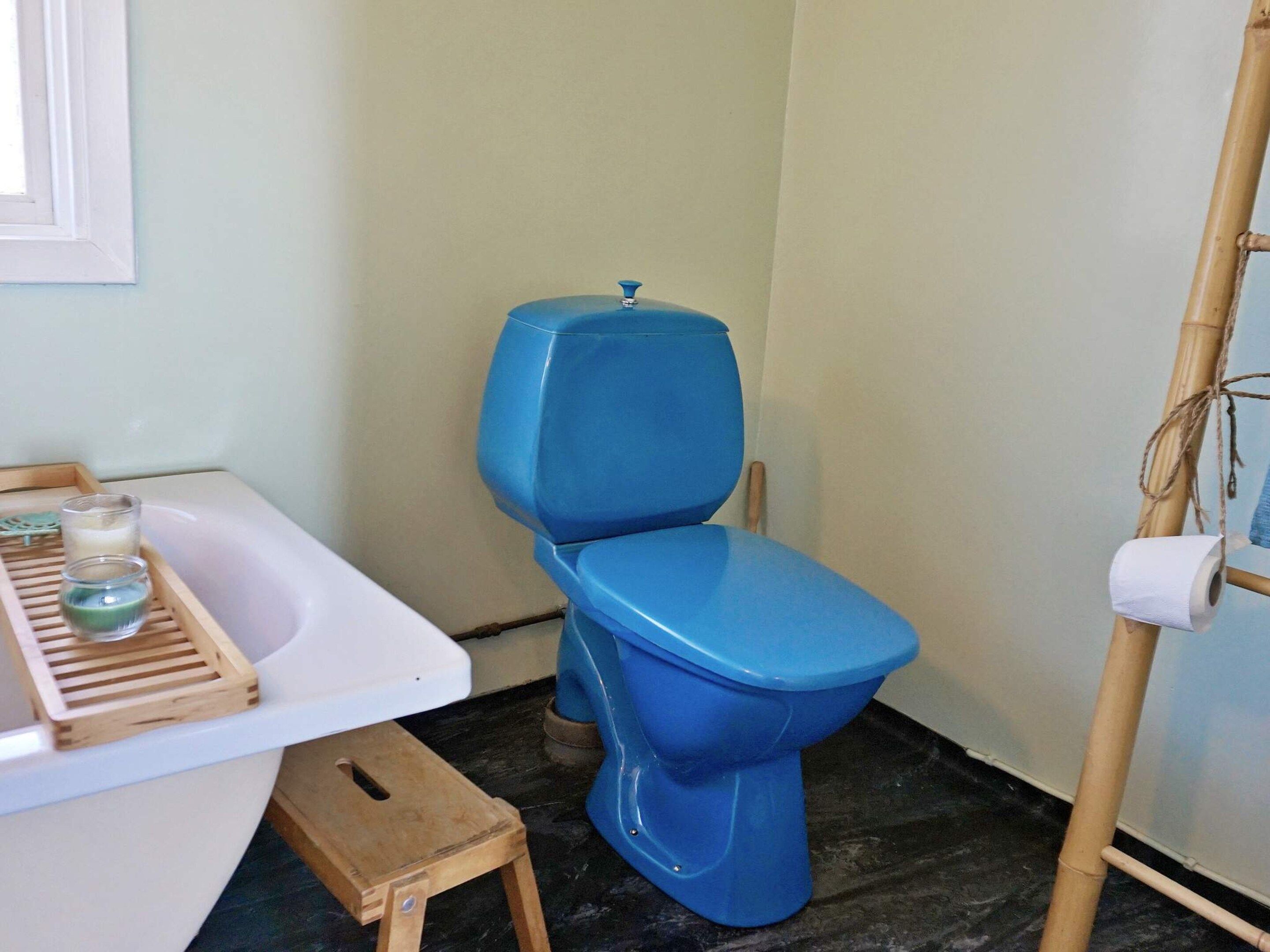 A bathroom with a white bathtub, a blue toilet, a wooden stool, and a bamboo ladder.