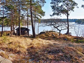 Metsän ympäröimä mökki lähellä vesistöä.