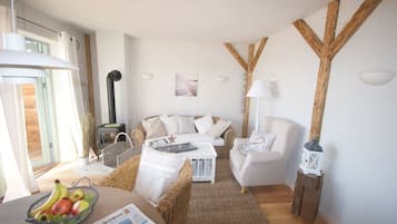 TV connectée, cheminée, livres, chaßne hi-fi