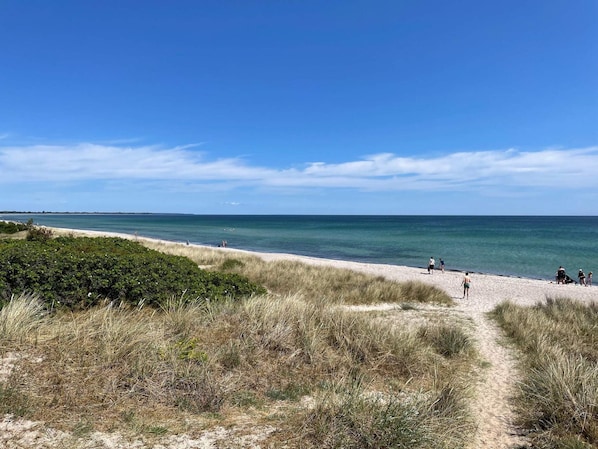 A beach with a clear sky, a sandy path leading to the water, and sparse vegetation.