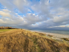 A coastal landscape with a grassy foreground leading to a beach and the sea.
