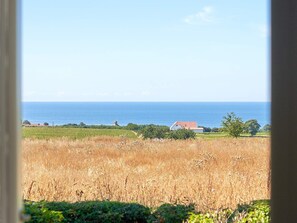 House | View from property