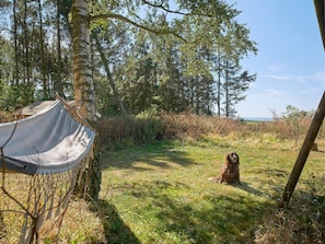 House | Property amenity