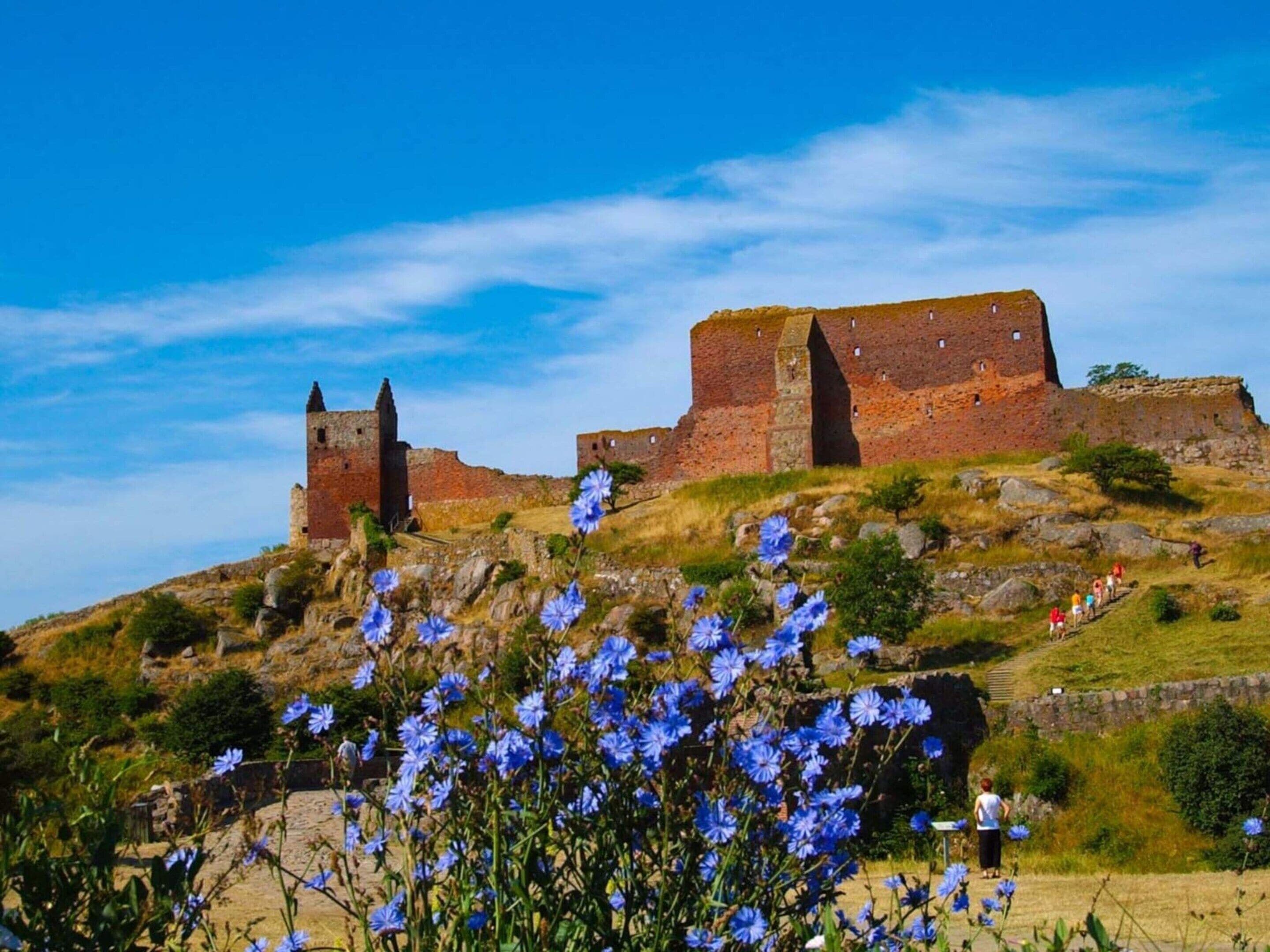 Ferienhaus | 3 Schlafzimmer, individuell eingerichtet