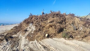 A sandy beach with a large pile of debris and tire tracks. - 6 Person Holiday Home in Lokken (Lokken)
