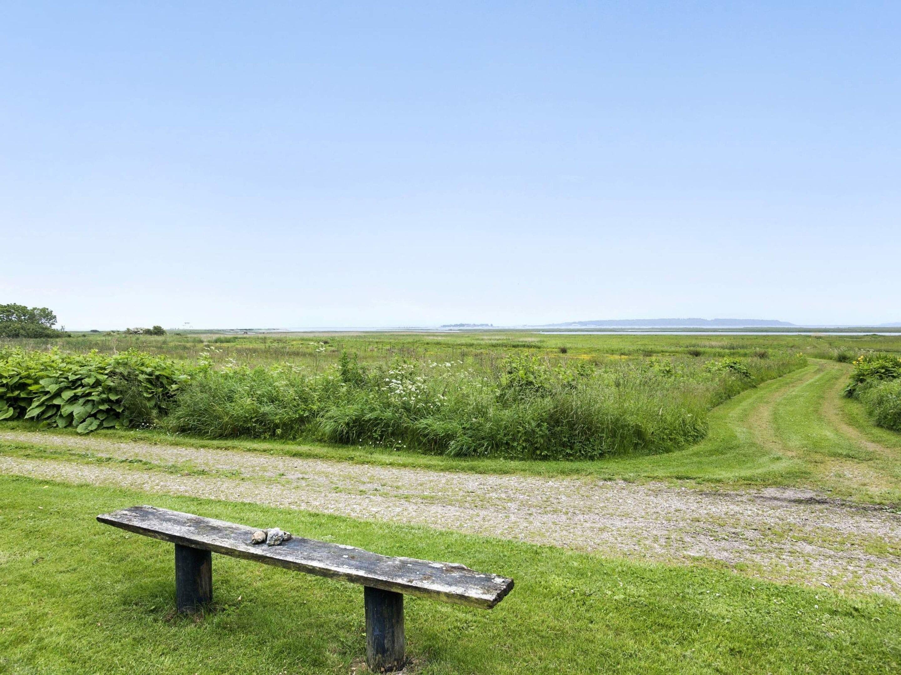 水景