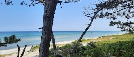 해변