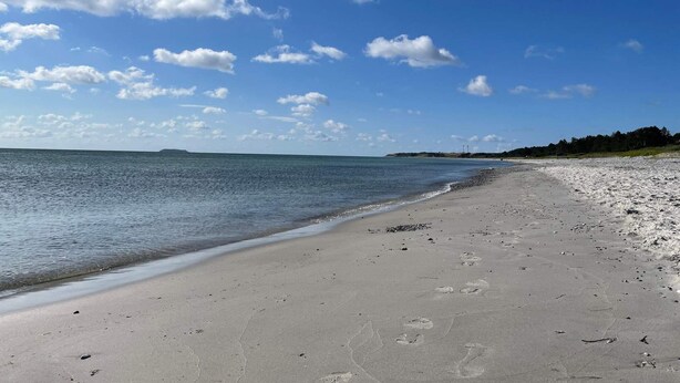 A beach with a clear sky, calm water, and a sandy shore. - 4 Person Holiday Home in Ebeltoft (Ebeltoft)