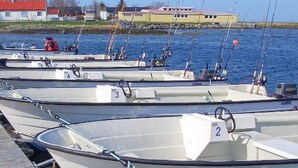 Une rangée de bateaux, chacun portant un numéro, était amarrée à un quai.