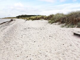 En sandstrand med en træbænk og sparsom beplantning.