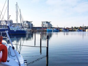 Apartment | Marina