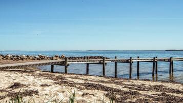 A wooden pier extending into calm waters, surrounded by a sandy beach with sparse vegetation.