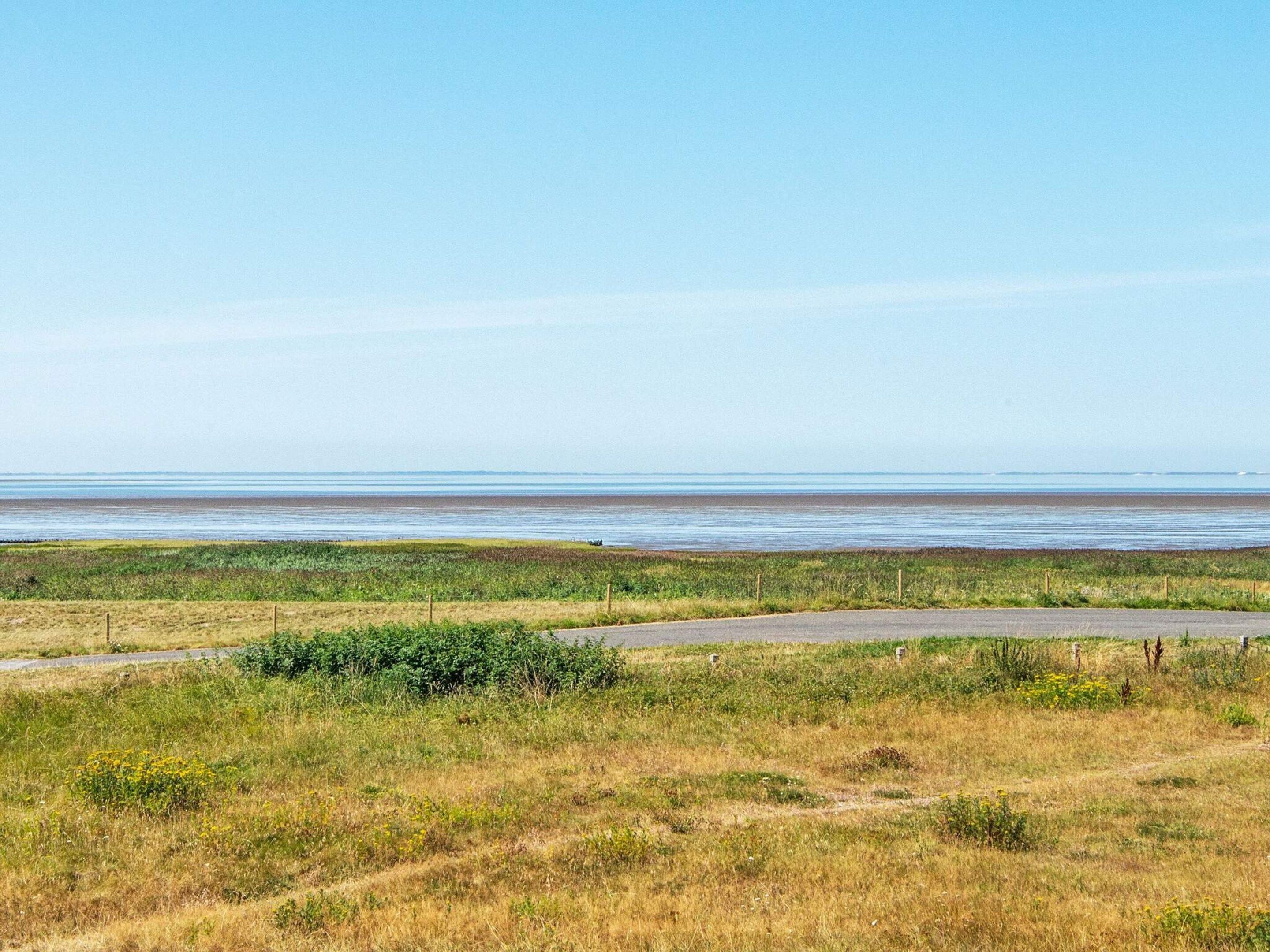 Eine Küstenlandschaft mit einem gepflasterten Weg zum Strand.